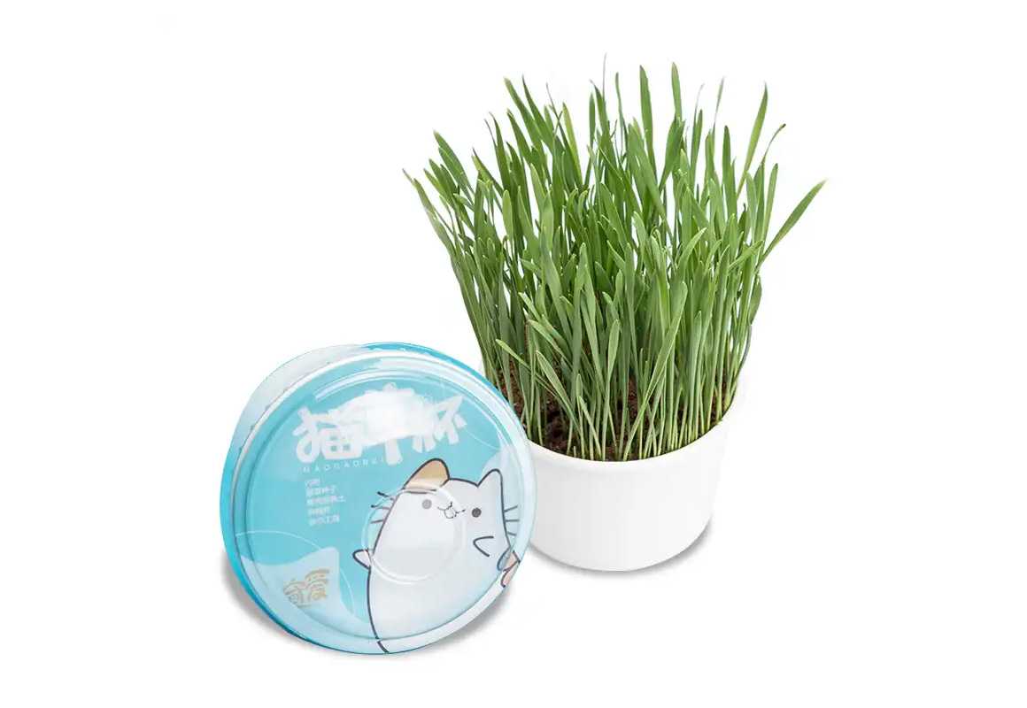 杯裝貓草封口機(jī)：為愛(ài)寵貓咪鎖住新鮮綠意