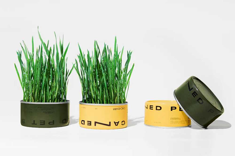 智造綠色活力，賦能高效未來——呂工機(jī)械全自動(dòng)杯裝貓草生產(chǎn)線